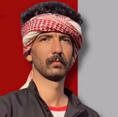 مبین فیلی