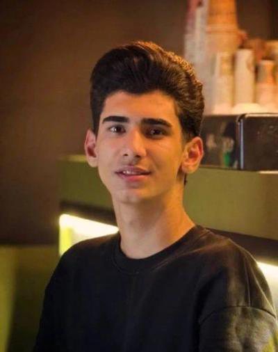 آرین نباتی
