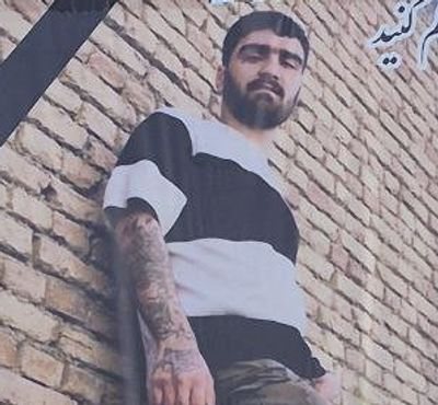 محمدرضا محمدی