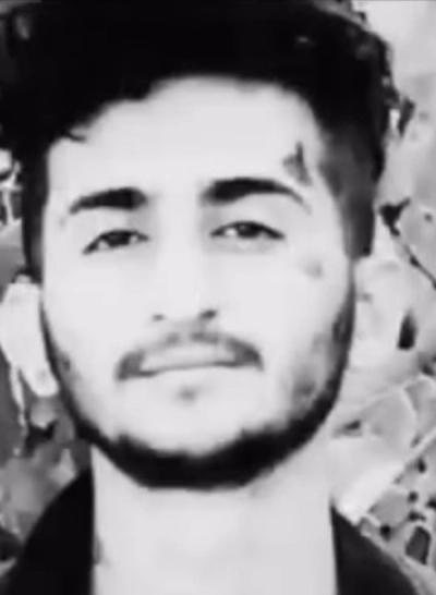 محمدرضا سنچولی